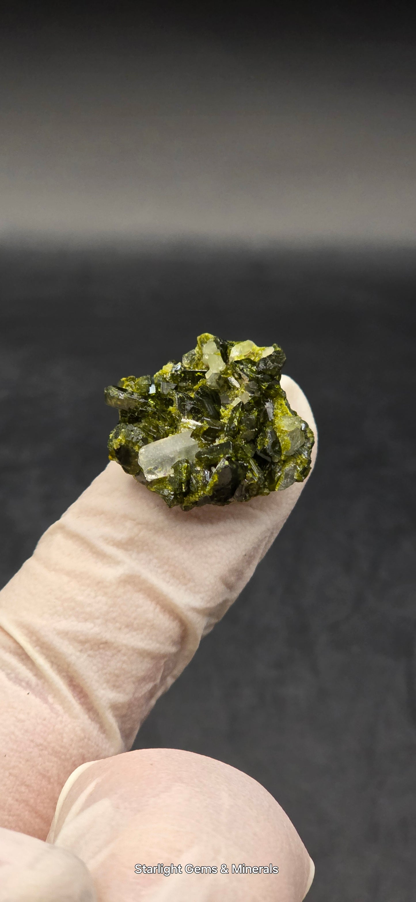 Mini Brazilian S7 Quartz on Epidote Matrix, Button!