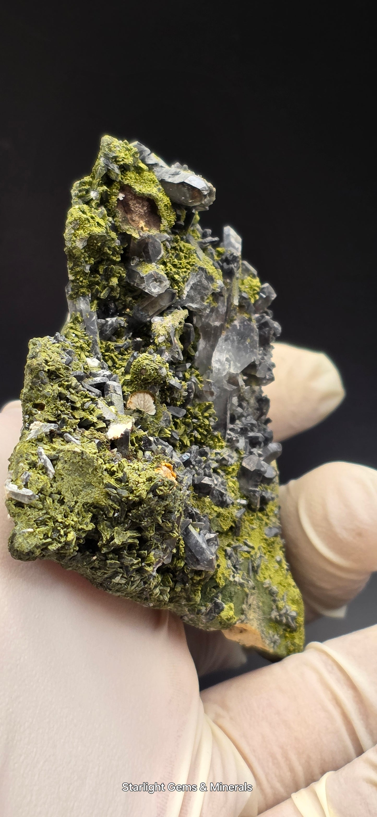 Epidote and Chlorite Included Brazilian Super Seven Quartz Matrix Forest!