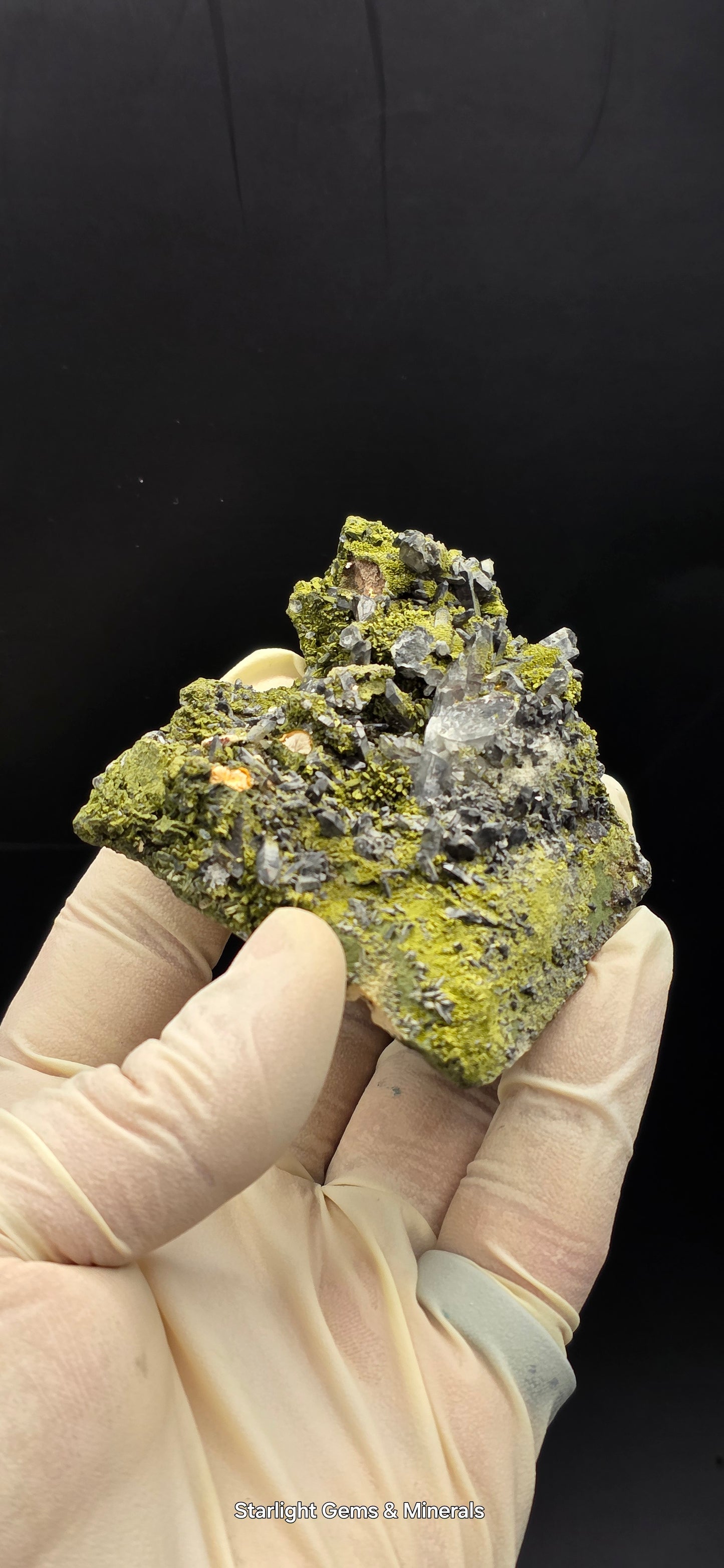Epidote and Chlorite Included Brazilian Super Seven Quartz Matrix Forest!