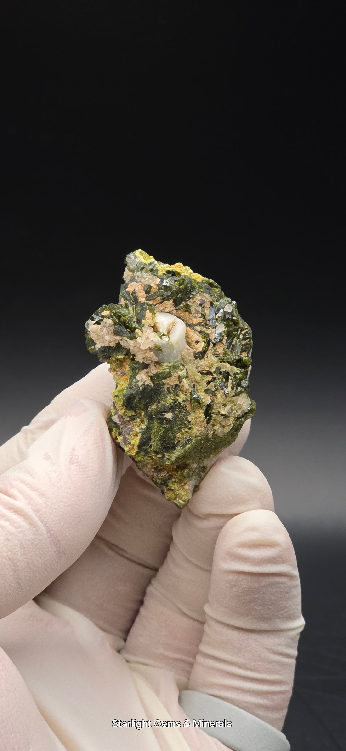 Brazilian Super Seven Quartz w/ Stunning Epidote Blades!