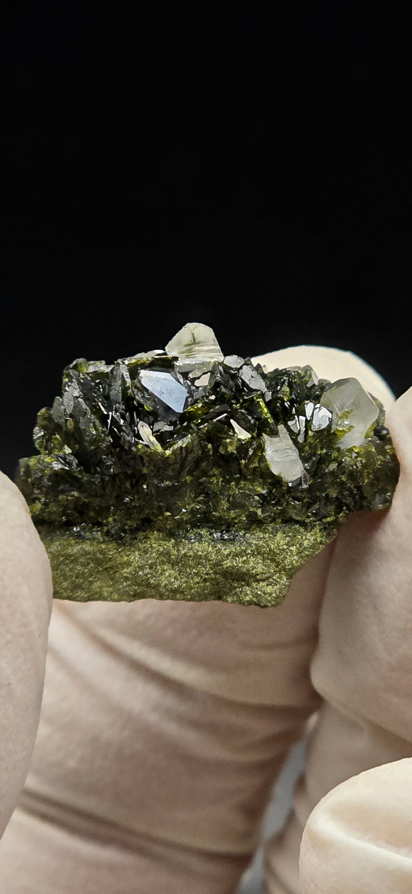 Brazilian S7 Quartz on Epidote Matrix Button!