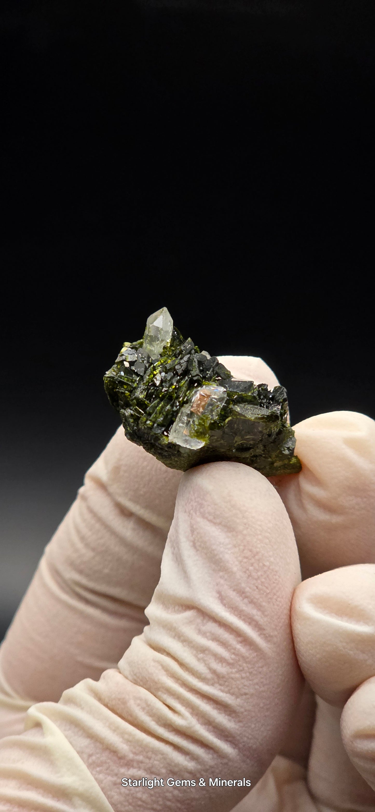 Brazilian S7 Quartz on Epidote Matrix Button!