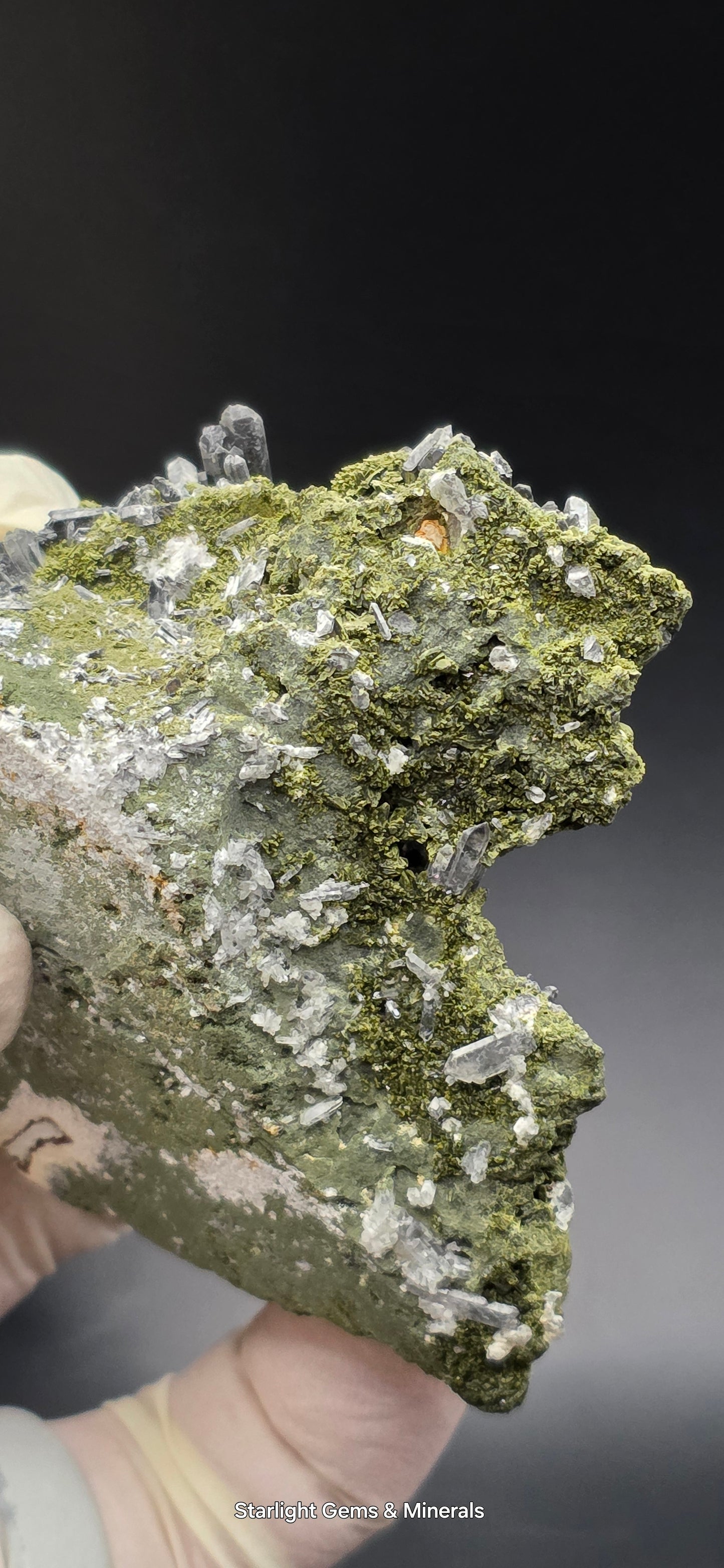 Epidote and Chlorite Included Brazilian Super Seven Quartz Matrix Forest!