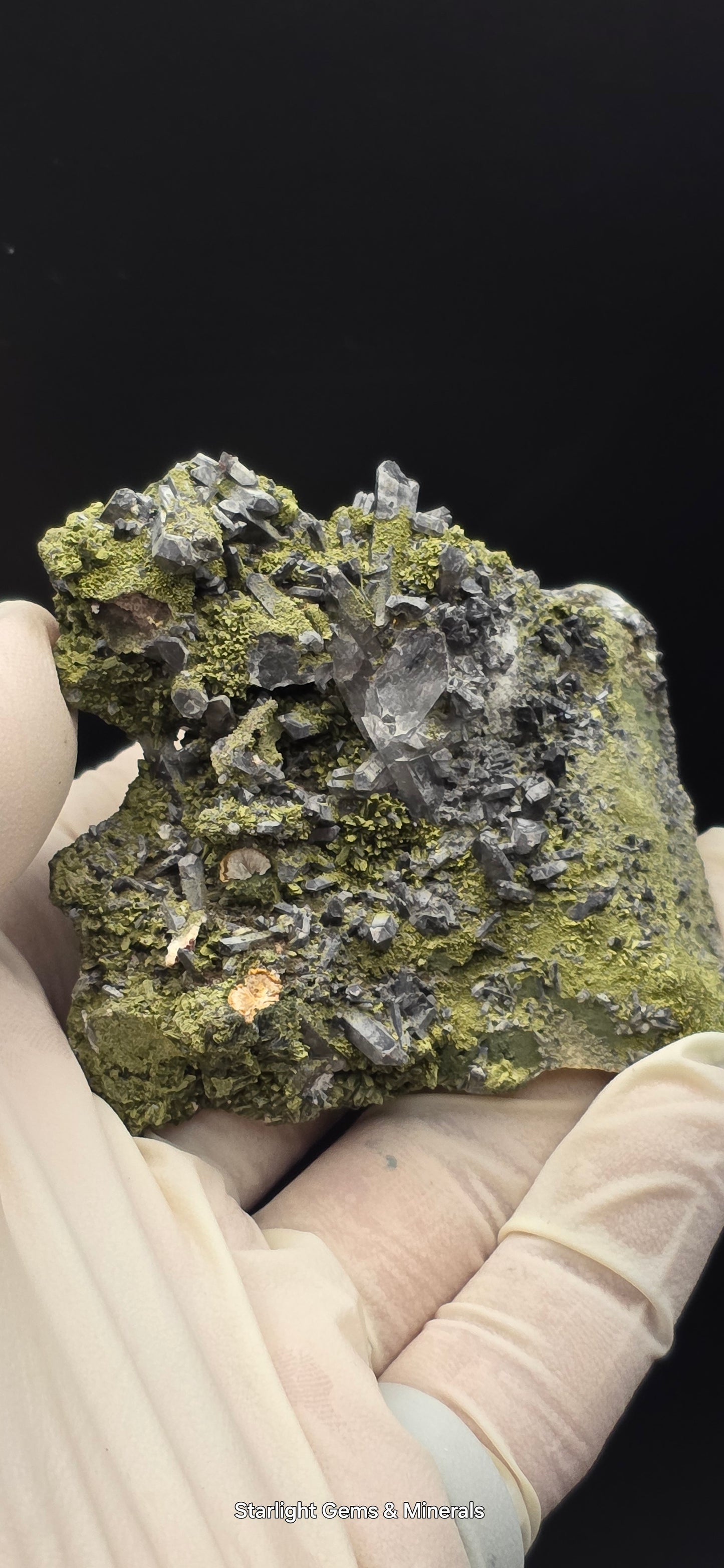 Epidote and Chlorite Included Brazilian Super Seven Quartz Matrix Forest!