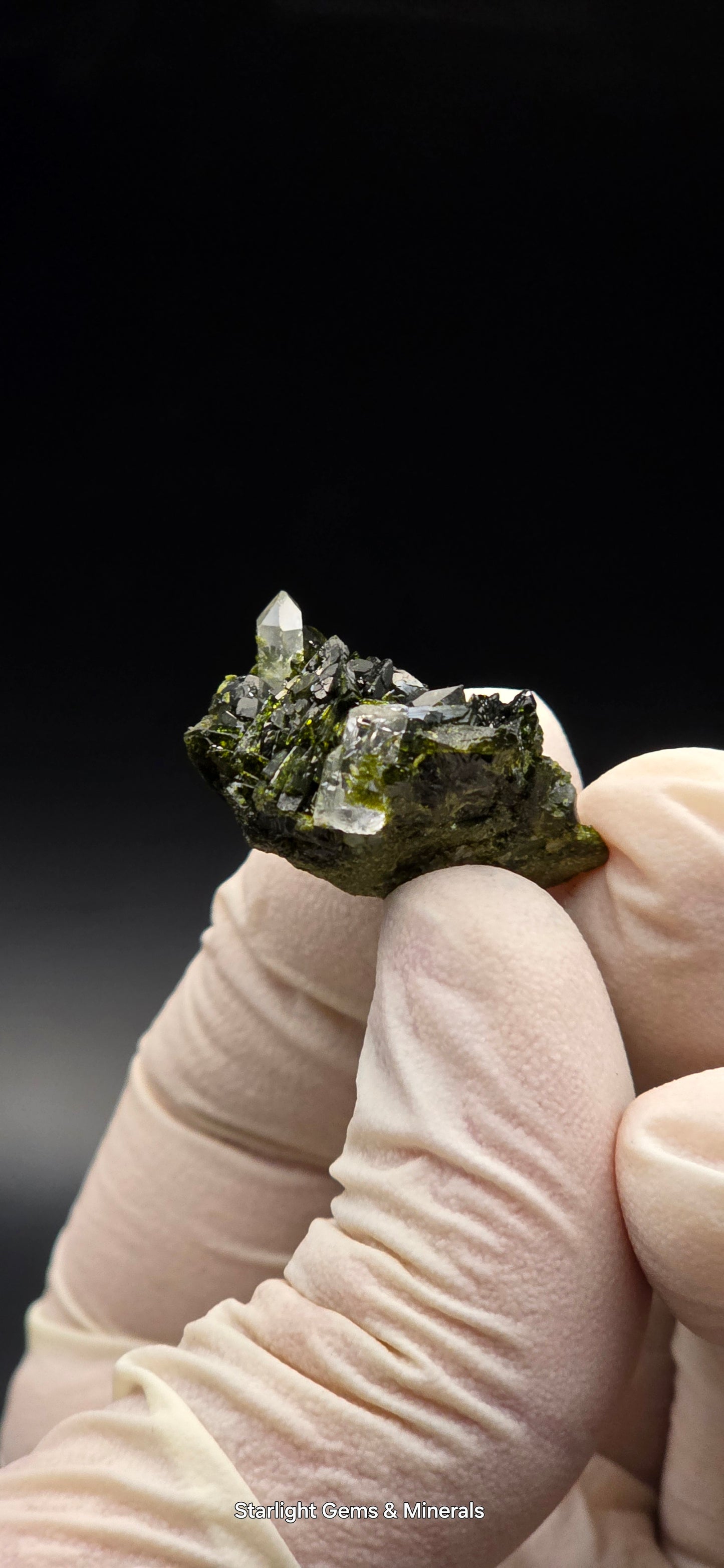 Brazilian S7 Quartz on Epidote Matrix Button!