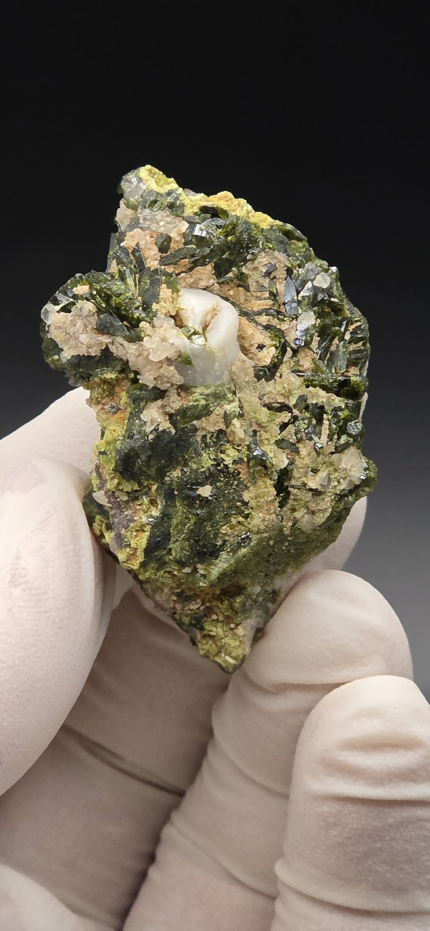 Brazilian Super Seven Quartz w/ Stunning Epidote Blades!