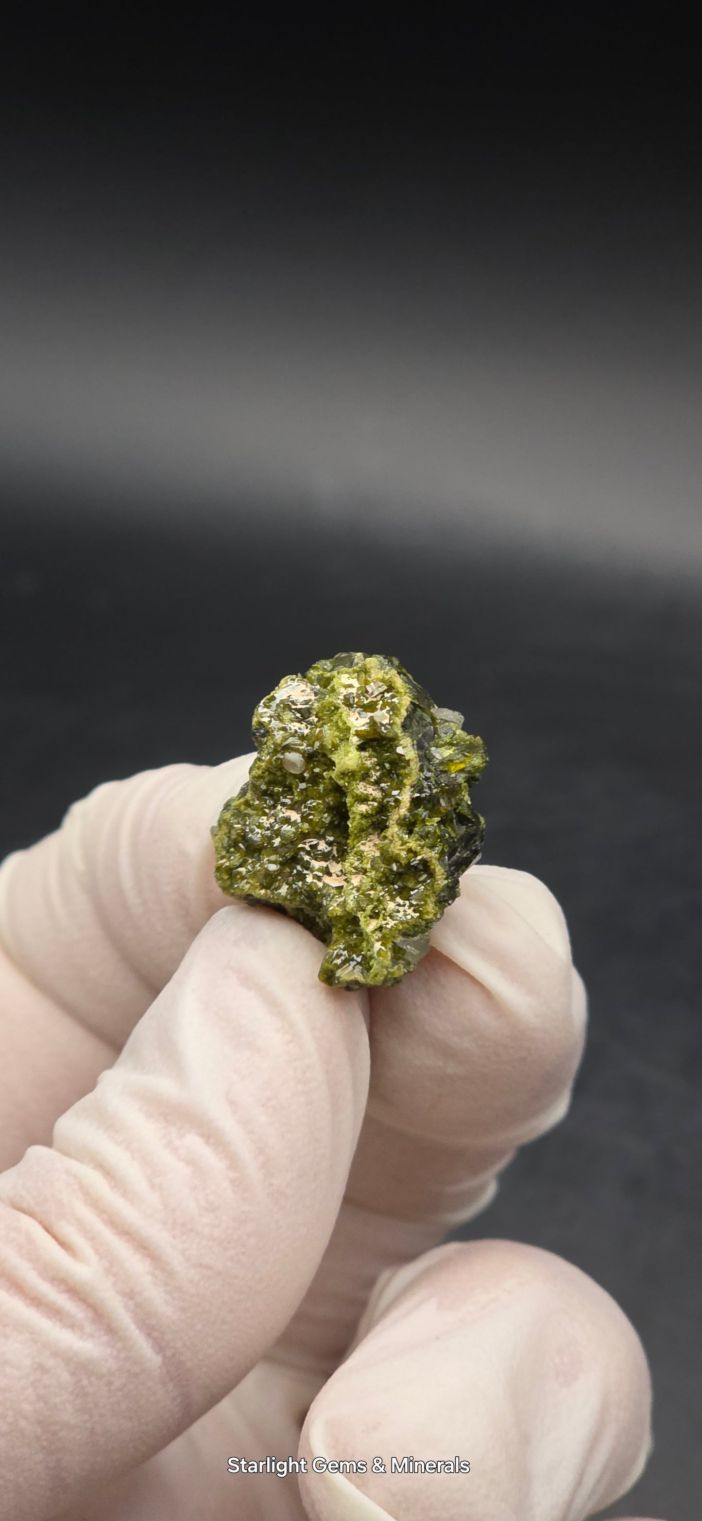 Mini Brazilian S7 Quartz on Epidote Matrix, Button!