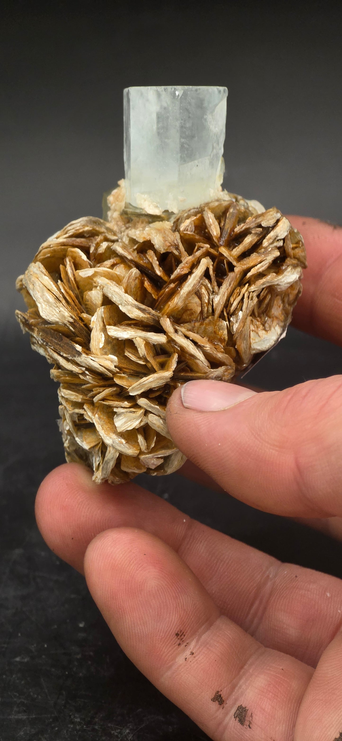 Namibian Aquamarine Matrix