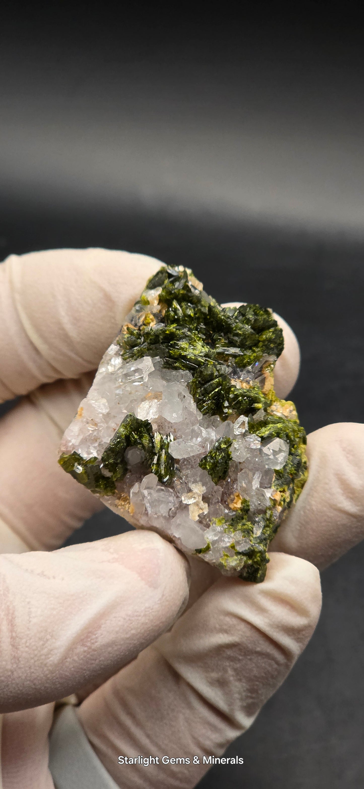 Brazilian Super Seven Quartz w/ Stunning Epidote Blades!