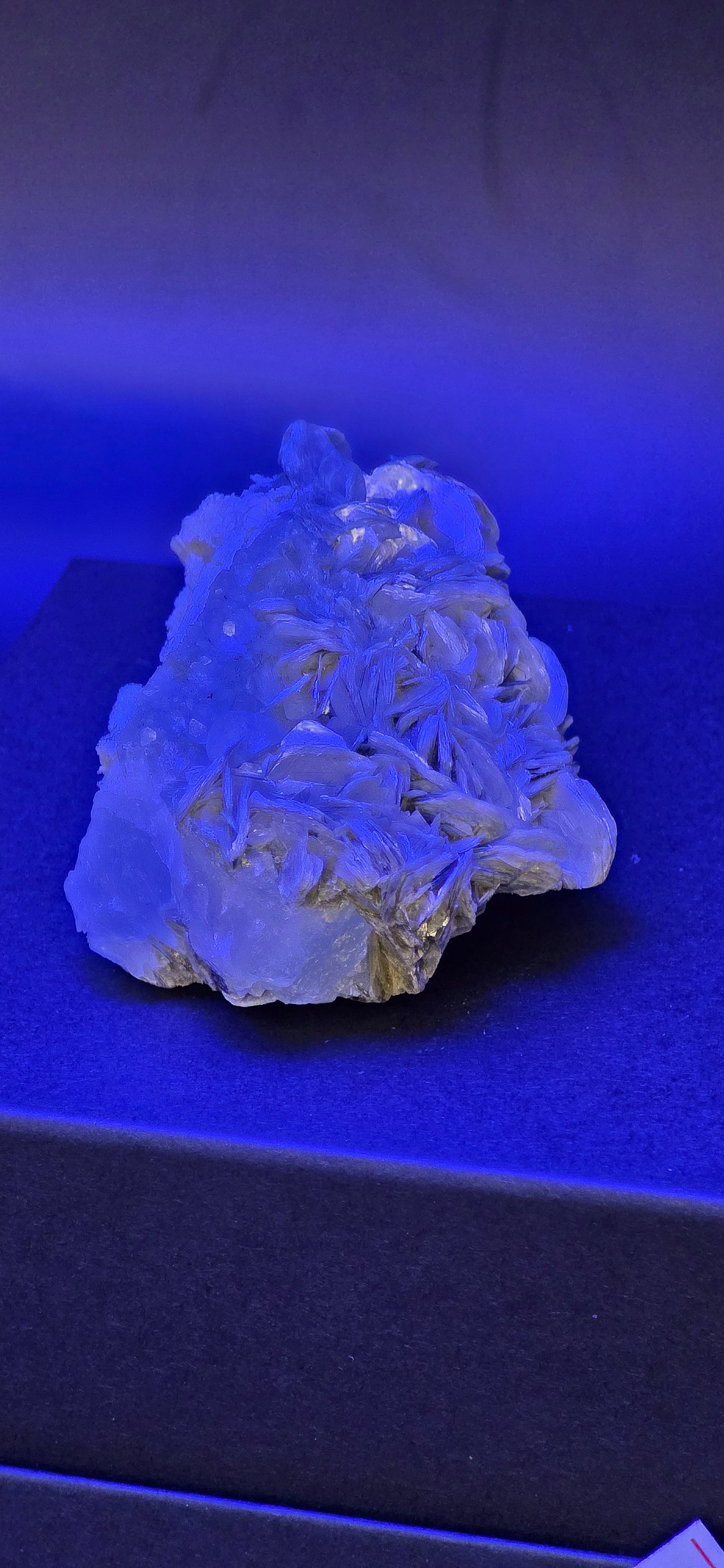 Erongo Region Namibian Aquamarine Matrix w/ Beautiful Micha, Quartz, Stunning UV/PL Calcite Coating, and Fluorite.As the primary crystals